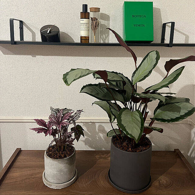 「34m2。照明とアートと植物に癒される、帰りたい我が家のつくり方」 by usk_ttmさん