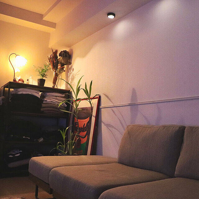 「34m2。照明とアートと植物に癒される、帰りたい我が家のつくり方」 by usk_ttmさん