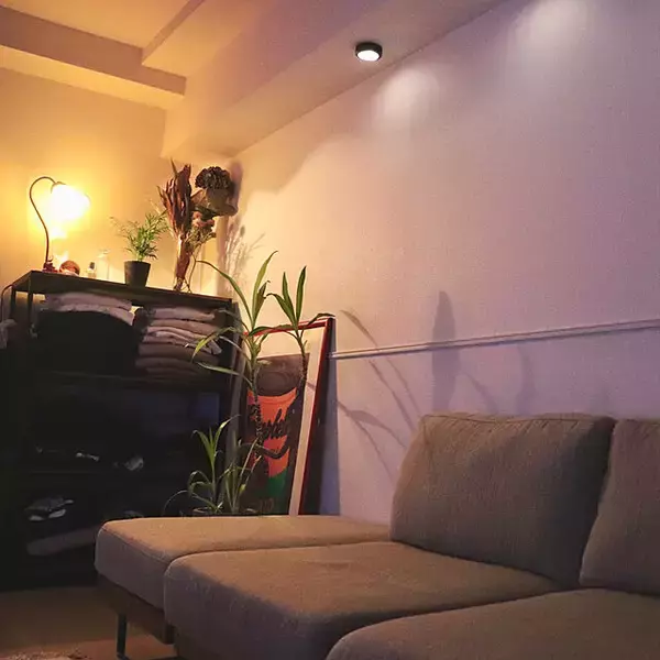 「「34m2。照明とアートと植物に癒される、帰りたい我が家のつくり方」 by usk_ttmさん」の画像