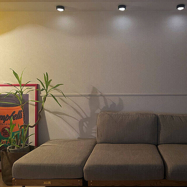 「34m2。照明とアートと植物に癒される、帰りたい我が家のつくり方」 by usk_ttmさん