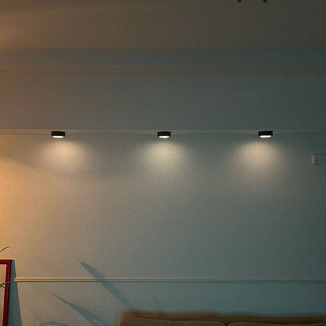 「34m2。照明とアートと植物に癒される、帰りたい我が家のつくり方」 by usk_ttmさん