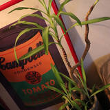 「「34m2。照明とアートと植物に癒される、帰りたい我が家のつくり方」 by usk_ttmさん」の画像9