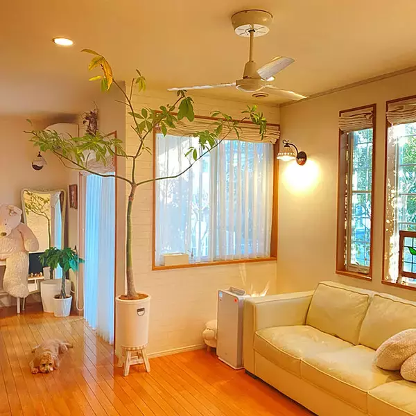 「空気を回してインテリアにもなる♪シーリングファンライトのある暮らし」の画像