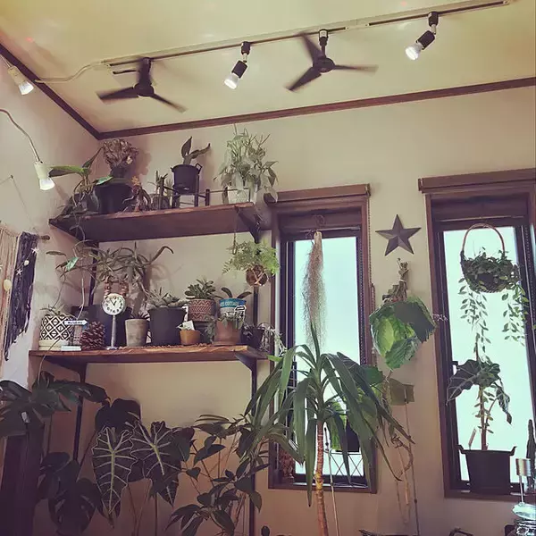 「空気を回してインテリアにもなる♪シーリングファンライトのある暮らし」の画像