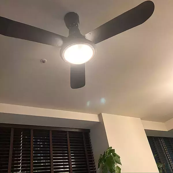 「空気を回してインテリアにもなる♪シーリングファンライトのある暮らし」の画像