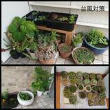 「家族と暮らしをしっかり守る！いざという時に慌てない台風・豪雨対策6選」の画像3