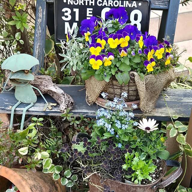 【今週の〇〇】テーマは「植物のある暮らし」！最新の投稿写真をピックアップ