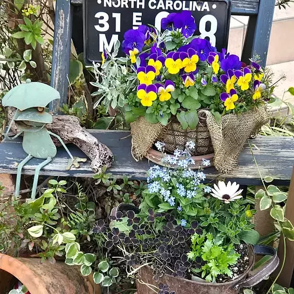 「【今週の〇〇】テーマは「植物のある暮らし」！最新の投稿写真をピックアップ」の画像