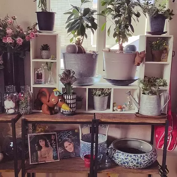 「【今週の〇〇】テーマは「植物のある暮らし」！最新の投稿写真をピックアップ」の画像