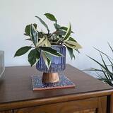 「「広く大きな窓のある、ミッドセンチュリー×インダストリアルな住まい」 by okayuさん」の画像11