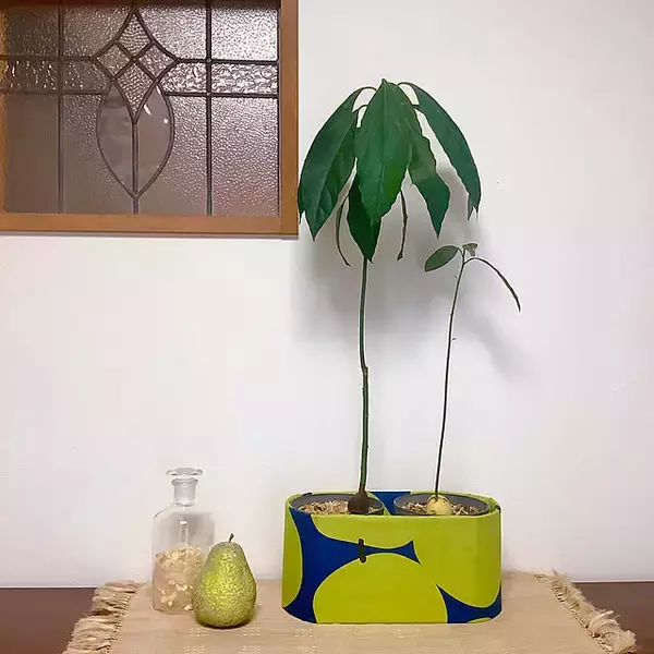 「捨てる前にリメイクしたくなる！大人も子どもも楽しめる「ダンボールの再利用アイデア」6選」の画像