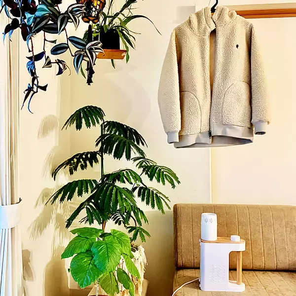 「【みんなが選んだ！】買ってよかった♪ふとん乾燥機4選」の画像