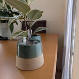 「【みんなが選んだ！】置くだけでグリーンが映える！Standard Productsの植木鉢4選」の画像1
