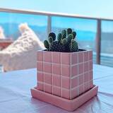 「【みんなが選んだ！】置くだけでグリーンが映える！Standard Productsの植木鉢4選」の画像3
