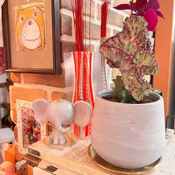 「【みんなが選んだ！】置くだけでグリーンが映える！Standard Productsの植木鉢4選」の画像