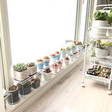 「「花と緑のある暮らしがもっと楽しくなる、素焼きの鉢リメイク」 by unichanさん」の画像1