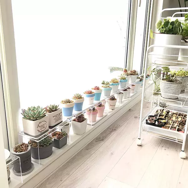 「花と緑のある暮らしがもっと楽しくなる、素焼きの鉢リメイク」 by unichanさん