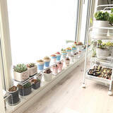 「「花と緑のある暮らしがもっと楽しくなる、素焼きの鉢リメイク」 by unichanさん」の画像6