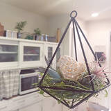 「さりげなく飾って空間を心地よく！ダイソーのテラリウムオーナメントを使ったDIYアイデア集」の画像5