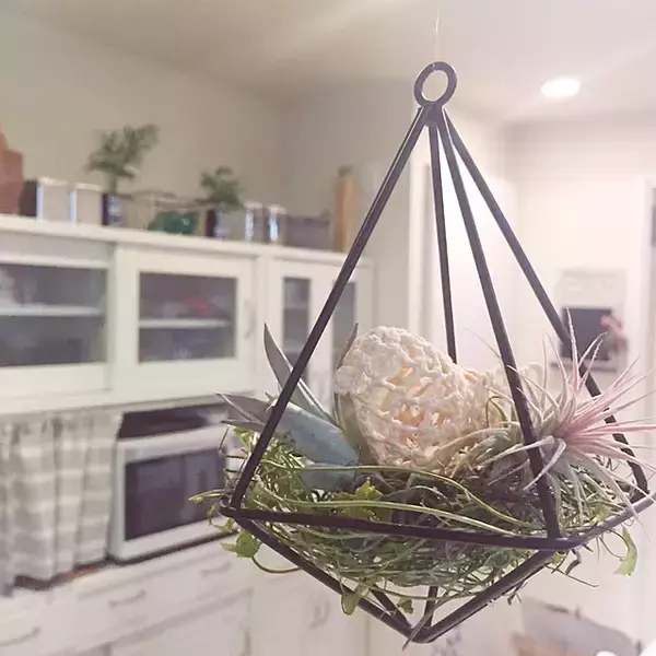 「さりげなく飾って空間を心地よく！ダイソーのテラリウムオーナメントを使ったDIYアイデア集」の画像