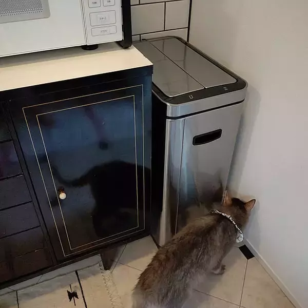 「衛生的でインテリアにもなる♪EKO JAPANでおすすめのゴミ箱をご紹介」の画像