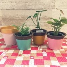 貼ったり塗ったりの簡単アレンジで自分好みに大変身♡ダイソーの植木鉢でリメイク＆DIYを楽しみませんか？