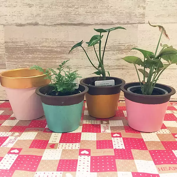 「貼ったり塗ったりの簡単アレンジで自分好みに大変身♡ダイソーの植木鉢でリメイク＆DIYを楽しみませんか？」の画像