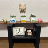 「貼ったり塗ったりの簡単アレンジで自分好みに大変身♡ダイソーの植木鉢でリメイク＆DIYを楽しみませんか？」の画像3