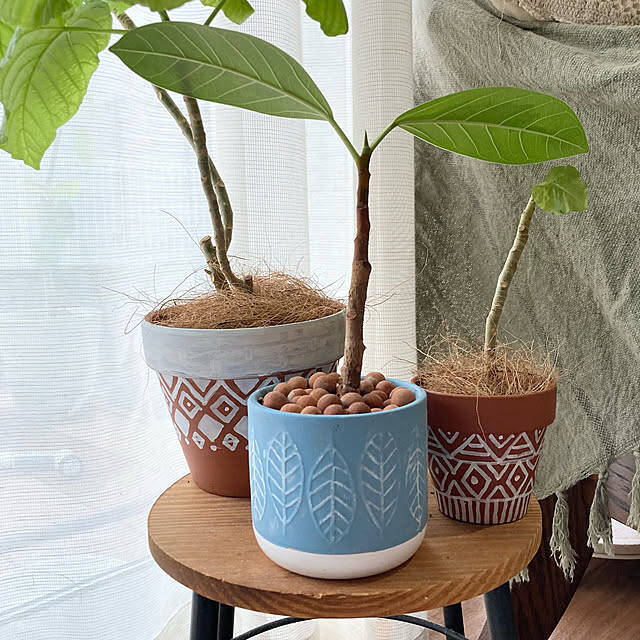 貼ったり塗ったりの簡単アレンジで自分好みに大変身♡ダイソーの植木鉢でリメイク＆DIYを楽しみませんか？