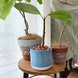 「貼ったり塗ったりの簡単アレンジで自分好みに大変身♡ダイソーの植木鉢でリメイク＆DIYを楽しみませんか？」の画像4