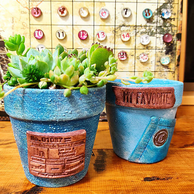 貼ったり塗ったりの簡単アレンジで自分好みに大変身♡ダイソーの植木鉢でリメイク＆DIYを楽しみませんか？