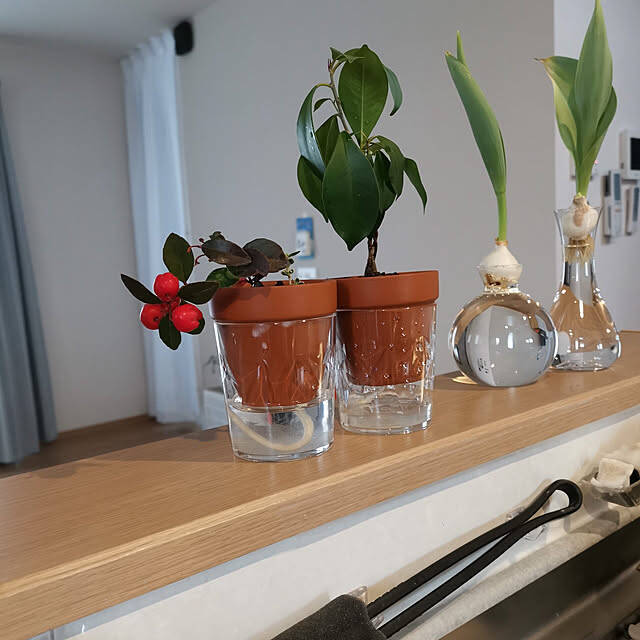 貼ったり塗ったりの簡単アレンジで自分好みに大変身♡ダイソーの植木鉢でリメイク＆DIYを楽しみませんか？