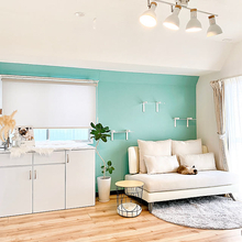 ニトリにはどんなロールスクリーンがある？サイズやデザイン、コーディネートも一挙にご紹介