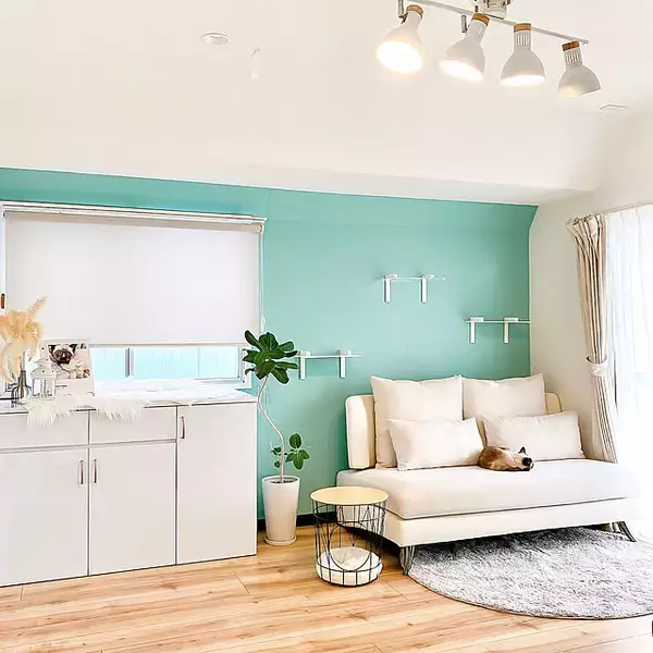 ニトリにはどんなロールスクリーンがある？サイズやデザイン、コーディネートも一挙にご紹介