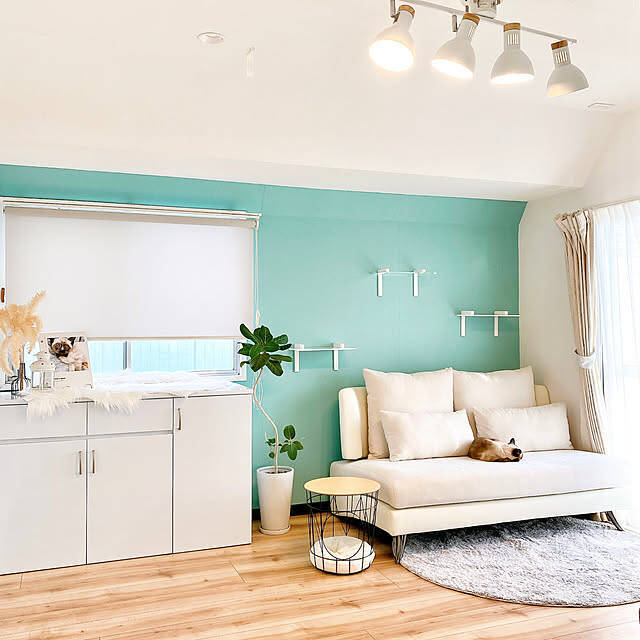 ニトリにはどんなロールスクリーンがある？サイズやデザイン、コーディネートも一挙にご紹介