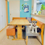 「食事もくつろぎも1つの空間で叶う！いろいろなレイアウトで楽しむ、ソファダイニングのある暮らし」の画像2