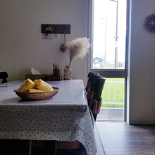 旬の恵みを、最後まで味わい尽くす。夏野菜とフルーツの食べ方