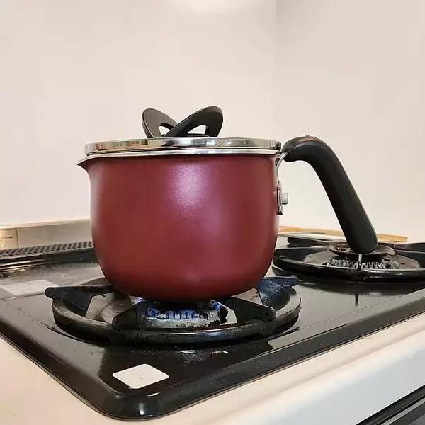 「高性能の安心感♪長く選ばれ続けるティファールの定番おすすめアイテム」の画像