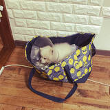 「お家の中でもいろいろ使える♪エコバッグのおすすめ活用法6選」の画像7