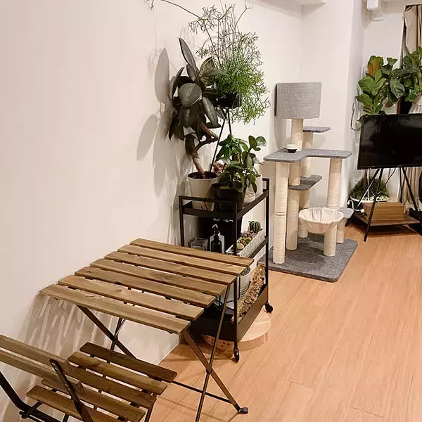 「ディスプレイ収納も大量収納もかなう。IKEAのニッサフォースを使った収納実例6選」の画像