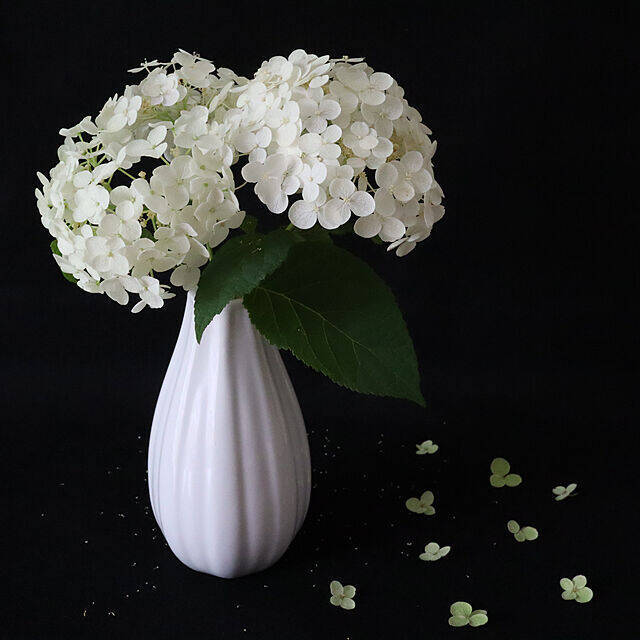 見つけたらすぐGETしたい！ダイソーで人気の「フラワーベース」