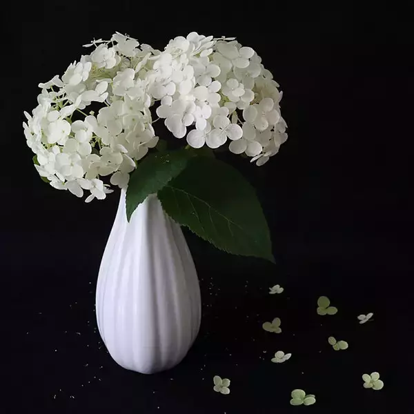 「見つけたらすぐGETしたい！ダイソーで人気の「フラワーベース」」の画像