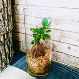 「見つけたらすぐGETしたい！ダイソーで人気の「フラワーベース」」の画像11