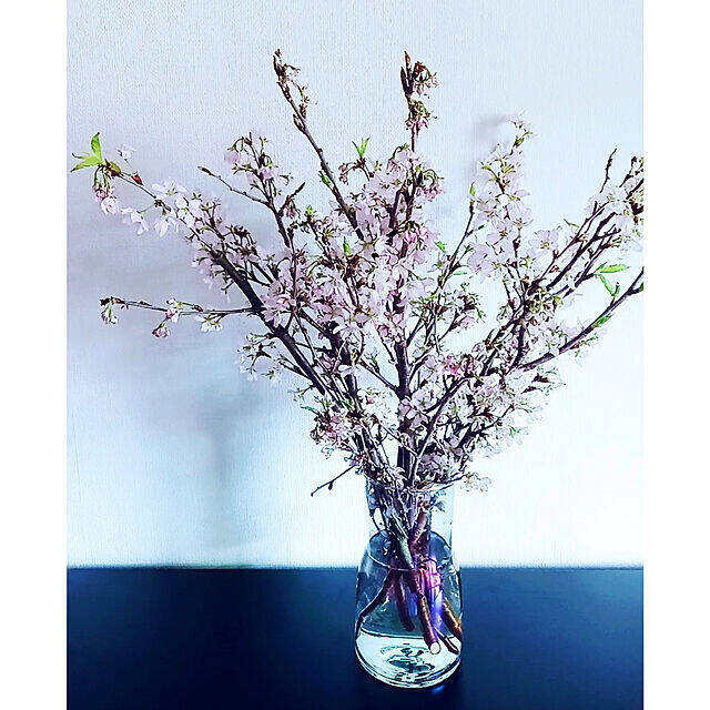 見つけたらすぐGETしたい！ダイソーで人気の「フラワーベース」