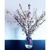 「見つけたらすぐGETしたい！ダイソーで人気の「フラワーベース」」の画像7