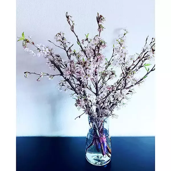 「見つけたらすぐGETしたい！ダイソーで人気の「フラワーベース」」の画像