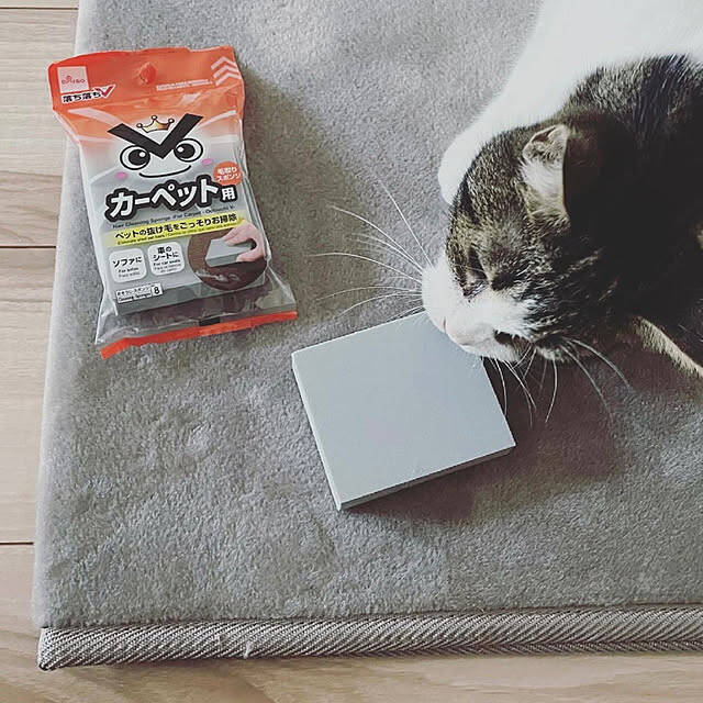 家事がちょっと楽しくなる♪ダイソーで見つけた優秀スポンジ6選