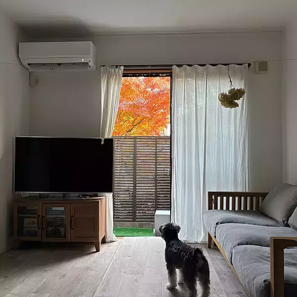 「「自分らしく育てて整える、古材とDIYのある暮らしのつくり方」 by moana_no_ieさん」の画像