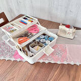 「【みんなが選んだ！】出し入れが劇的にスムーズに！3COINSのツールボックス活用実例3選」の画像1