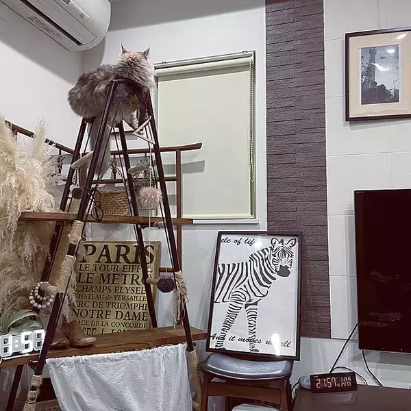 「貼るだけでお部屋があか抜ける☆ニトリのウォールステッカー」の画像